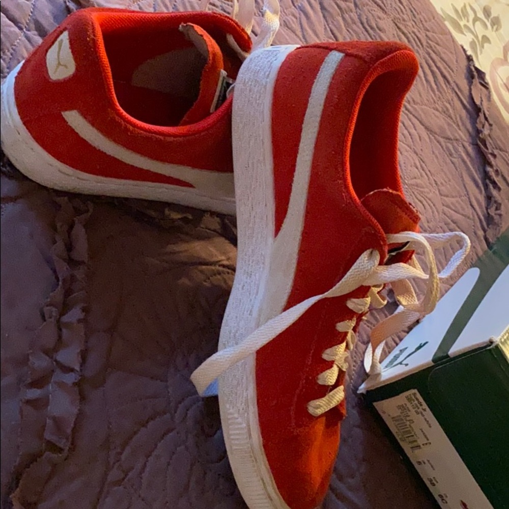 Red pumas - Picture 6 of 7